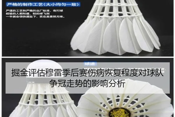掘金评估穆雷季后赛伤病恢复程度对球队争冠走势的影响分析